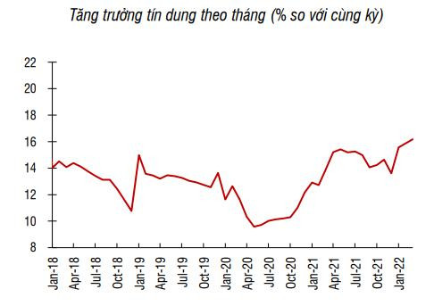 SSI Research: Chính phủ siết thị trường trái phiếu doanh nghiệp và bất động sản, tăng trưởng tín dụng sẽ bị ảnh hưởng - Ảnh 1.