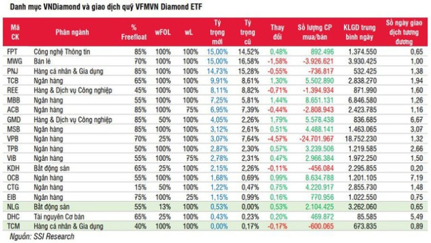 SSI Research: Diamond ETF có thể thêm mới NLG và loại TCM, dự kiến bán bán mạnh cổ phiếu VPB - Ảnh 1.