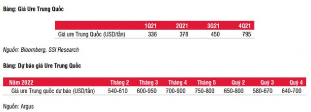 SSI Research: Giá ure có thể đạt đỉnh trong tháng 3 và giảm mạnh từ tháng 6 trở đi - Ảnh 1.