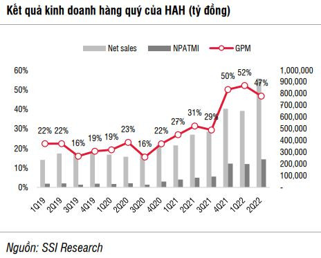 SSI Research: Hải An vẫn có thể duy trì mức lợi nhuận cao nhờ công suất tăng lên - Ảnh 6.