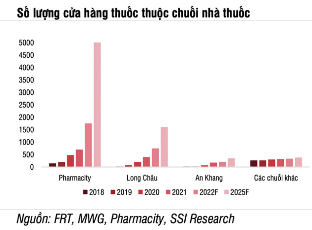 SSI Research: Lợi nhuận ngành dược tăng tích cực và ít bị ảnh hưởng hơn từ lạm phát - Ảnh 4.