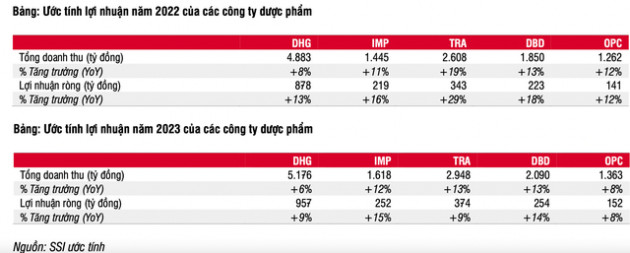 SSI Research: Lợi nhuận ngành dược tăng tích cực và ít bị ảnh hưởng hơn từ lạm phát - Ảnh 5.