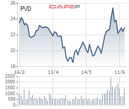 SSI Research: Lợi nhuận PVD có thể giảm phân nửa vì đối tác nước ngoài phá sản - Ảnh 1.