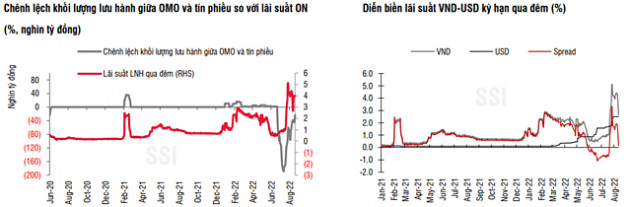 SSI Research: Mức nới room tín dụng cho các ngân hàng sẽ không mạnh và phân hóa - Ảnh 1.