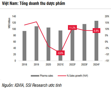 SSI Research: Ngành dược hứa hẹn tăng trưởng đột phá năm 2022, lợi nhuận có thể trở lại mức trước dịch COVID-19 - Ảnh 2.