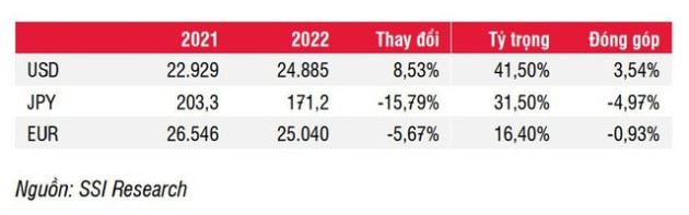 SSI Research: Nợ nước ngoài giảm nhờ tỷ giá - Ảnh 1.