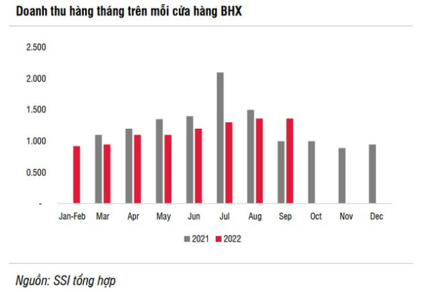 SSI Research: Thế giới di động (MWG) năm 2022 - 2023 có thể lỗ hơn 100 tỷ từ hoạt động tài chính - Ảnh 1.