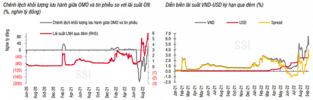 SSI Research: Tỷ trọng cho vay lĩnh vực rủi ro của các NHTMCP Nhà nước thấp hơn nhiều so với các ngân hàng tư nhân