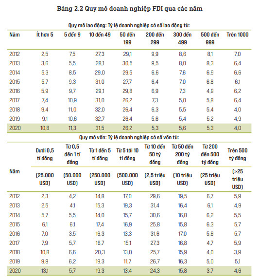 Sự trở lại của xu hướng doanh nghiệp FDI thu nhỏ, FDI vệ tinh và những rủi ro cho kinh tế Việt Nam - Ảnh 2.