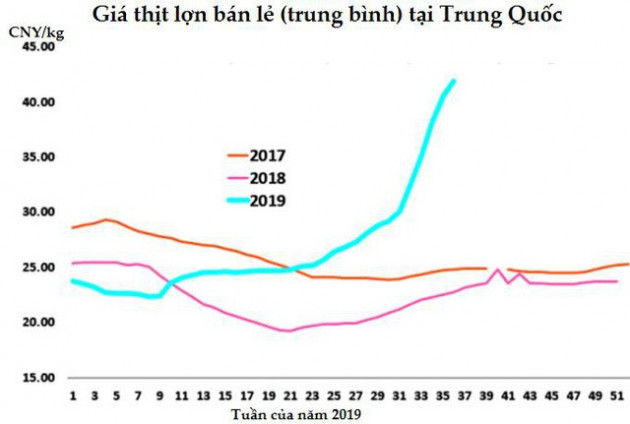 Sức nóng của thị trường thịt lợn thế giới dự báo sẽ kéo dài tới 2020 - Ảnh 1.