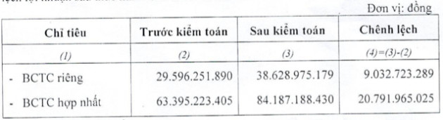 Sudico (SJS) điều chỉnh tăng 35% lợi nhuận sau kiểm toán do điều chỉnh giá vốn và lãi/lỗ từ công ty liên kết - Ảnh 1.