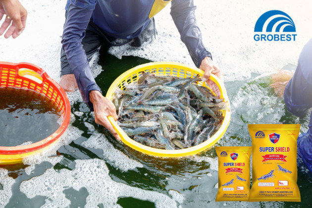 Super Shield - Thức ăn hỗn hợp tiên phong đến từ Grobest - Ảnh 1.
