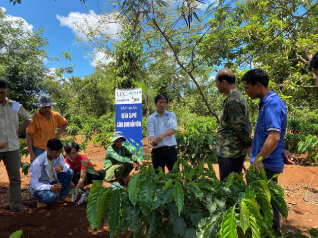 Syngenta đồng hành cùng nông nghiệp bền vững - Ảnh 1.