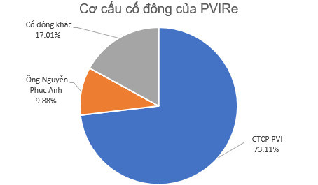 Tái bảo hiểm PVI (PVIRe) được chấp thuận niêm yết trên HNX - Ảnh 2.