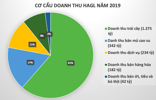 Tâm thư bầu Đức: Các khoản lỗ từ chuyển đổi cơ cấu vườn cây sẽ giảm dần và HAGL đang nỗ lực để có lợi nhuận trong thời gian sớm nhất - Ảnh 2.