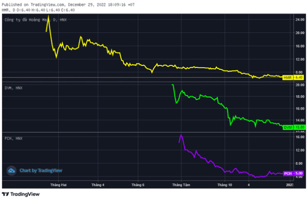 Tân binh sàn chứng khoán năm 2022 đồng loạt gây thất vọng, có mã mất 2/3 giá trị kể từ khi chào sàn - Ảnh 6.