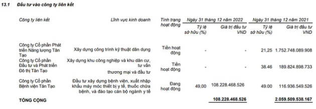 Tân Tạo (ITA) thoái vốn tại Phát triển Năng lượng Tân Tạo và Đầu tư & Phát triển Đô thị Tân Tạo - Ảnh 1.