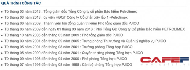 Tân Tổng giám đốc Petrolimex là ai? - Ảnh 1.