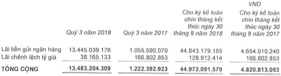 Tăng đầu tư thu lãi, Ricons thực hiện 88% chỉ tiêu lãi ròng sau 9 tháng - Ảnh 2.