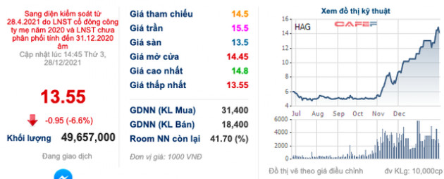 Tăng gấp 3 chỉ sau 2 tháng, HAG sát sàn trước áp lực bán mạnh - Ảnh 1.