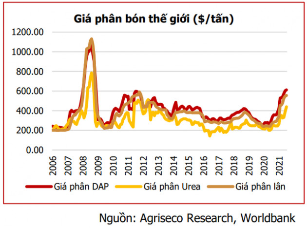 Tăng mạnh từ đầu năm, cổ phiếu phân bón vẫn còn cơ hội đầu tư khi kết quả kinh doanh bứt phá - Ảnh 1.