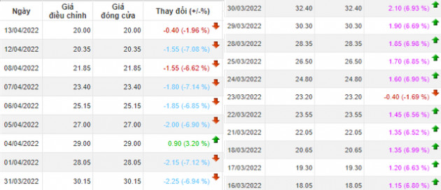 Tăng sốc trong tháng Ba, nhóm cổ phiếu liên quan DNP và hoa hậu Ngọc Hân đảo chiều “tạo hình cây thông”, giảm 35% giá trị từ đỉnh chỉ trong nửa tháng - Ảnh 2.