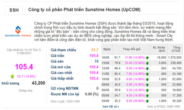 Tăng trần 10 phiên liên tiếp, Sunshine Homes gia nhập nhóm vốn hóa trên 1 tỷ USD - Ảnh 1.