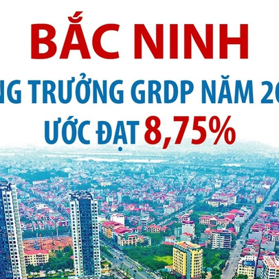 Tăng trưởng GRDP năm 2022 của tỉnh Bắc Ninh ước đạt 8,75%