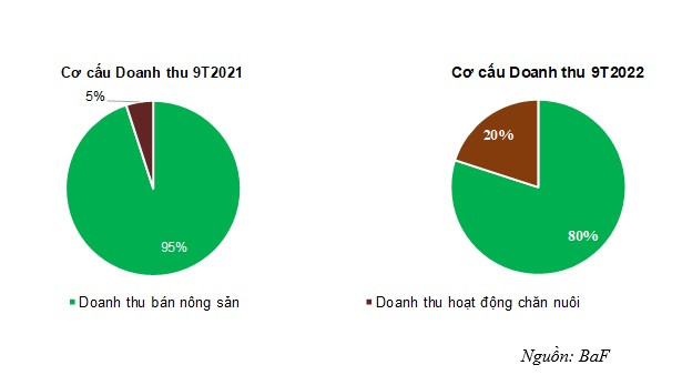 Tăng trưởng từ hoạt động chăn nuôi lợi nhuận qúy 3 tăng gấp 3,5 lần - Ảnh 1.