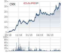 Tăng từ 5.000 lên trên 30.000 đồng, Camimex (CMX) triển khai phát hành 13 triệu cổ phiếu chào bán cho cổ đông hiện hữu - Ảnh 1.