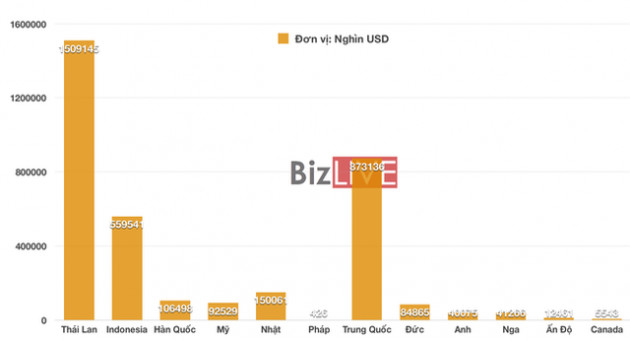 Tăng vọt trong năm 2021, Việt Nam nhập ô tô nhiều nhất từ quốc gia nào? - Ảnh 2.