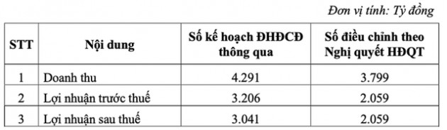 Tập đoàn Cao su (GVR) điều chỉnh giảm gần 1.000 tỷ đồng kế hoạch lợi nhuận 2021 - Ảnh 1.