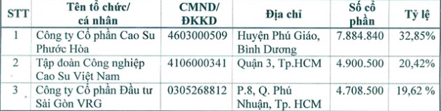 Tập đoàn Cao su muốn thoái vốn tại KCN Nam Tân Uyên (NTC) - Ảnh 1.