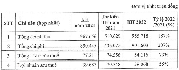 Tập đoàn Đại Dương (OGC) đặt kế hoạch lợi nhuận giảm mạnh 45% trong năm 2022 - Ảnh 2.