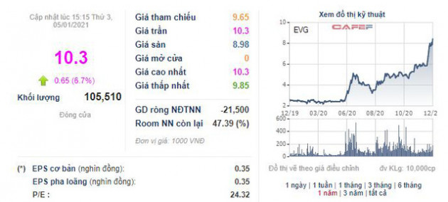 Tập đoàn Everland (EVG) đăng ký chào bán 45 triệu cổ phiếu với giá bằng mệnh giá - Ảnh 1.