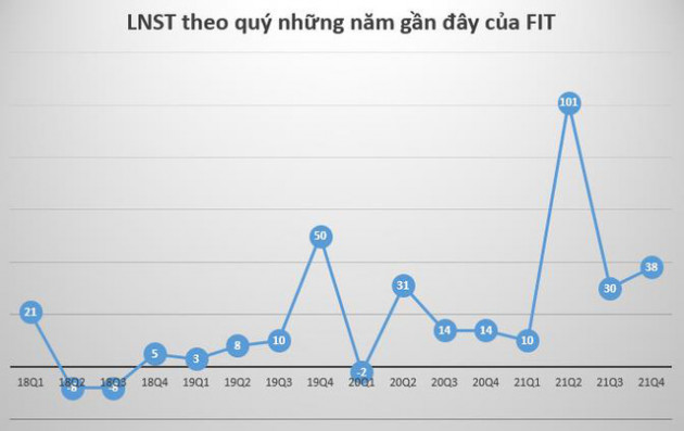 Tập đoàn FIT: Năm 2021 lãi hơn 231 tỷ đồng, gấp gần 3 lần cùng kỳ - Ảnh 1.