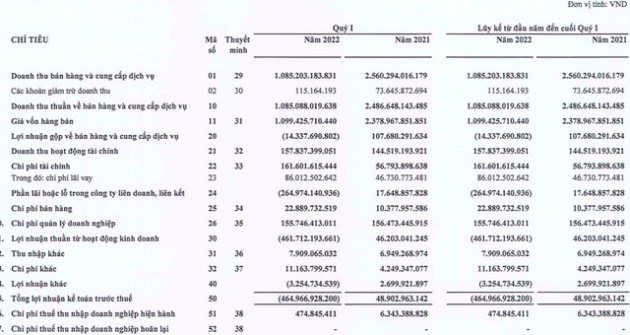 Tập đoàn FLC báo lỗ ròng 466 tỷ đồng trong quý 1/2022 - Ảnh 1.