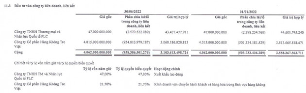 Tập đoàn FLC lỗ ròng hơn ngàn tỷ sau 6 tháng đầu năm - Ảnh 1.