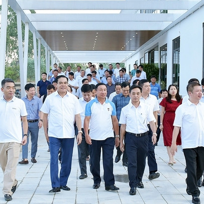Tập đoàn Hoành Sơn phủ nhận nợ thuế quá hạn 100 tỷ