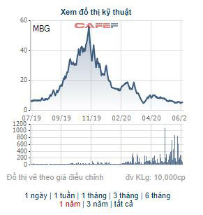 Tập đoàn MBG thông qua phương án phát hành riêng lẻ 25 triệu cổ phiếu với giá gần gấp đôi thị giá - Ảnh 1.