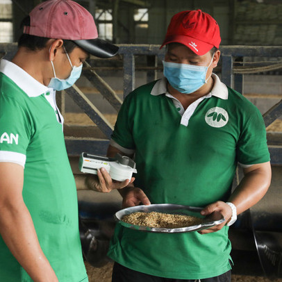 Tập đoàn Tân Long và mục tiêu phát triển hạt gạo Việt dài hạn