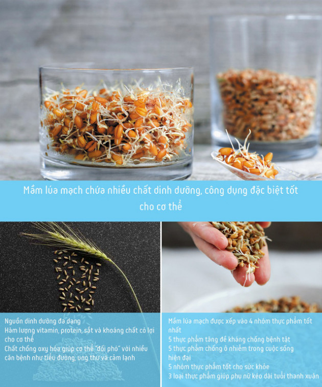 Tập đoàn TH tạo cú đột phá thị trường đồ uống, lần đầu tiên tại Việt Nam ra mắt sản phẩm nước giải khát lên men từ mầm lúa mạch - Ảnh 2.