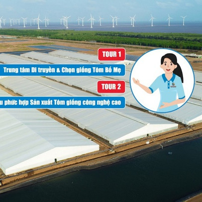 Tập đoàn thủy sản Việt Úc giới thiệu tour tham quan trực tuyến 360 độ