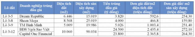  Tay chơi thứ ba trong vụ đấu giá Thủ Thiêm - Ảnh 1.