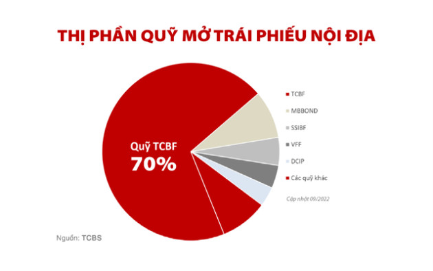 TCBS cùng chiến lược Wealthtech: 9 tháng 2022 lợi nhuận vượt 2.700 tỷ đồng, đạt 81% kế hoạch năm - Ảnh 1.