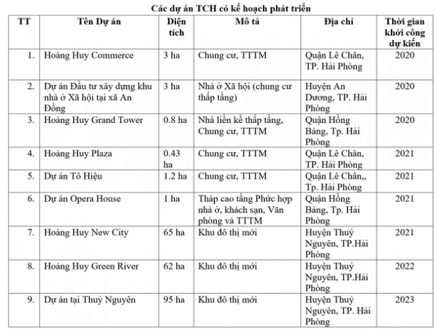 TCH: Sẽ tăng tỷ lệ sở hữu HHS lên 50% và triển khai hàng loạt dự án bất động sản - Ảnh 1.