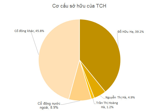 TCH: Tổng Giám đốc đăng ký mua vào 22 triệu cổ phiếu tăng tỷ lệ sở hữu và gắn bó với công ty - Ảnh 1.