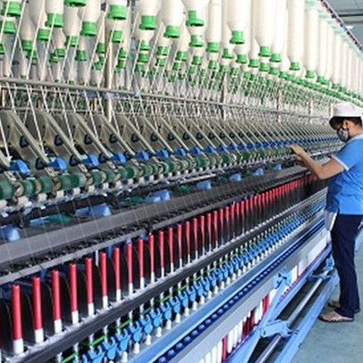 TCM: LNST tháng 1 đạt 1,1 triệu USD, tăng 38% so với cùng kỳ