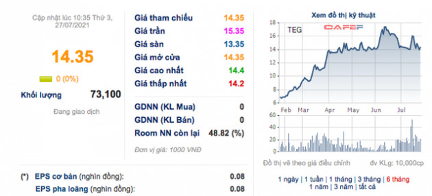 TEC Group: 6 tháng lãi 12 tỷ đồng cao gấp 21 lần cùng kỳ 2020 - Ảnh 1.