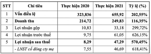 TECGROUP (TEG) đặt kế hoạch doanh thu và lợi nhuận năm 2022 gấp 3 lần cùng kỳ - Ảnh 1.